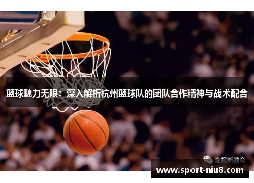 篮球魅力无限：深入解析杭州篮球队的团队合作精神与战术配合