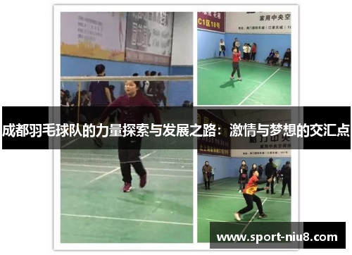 成都羽毛球队的力量探索与发展之路：激情与梦想的交汇点